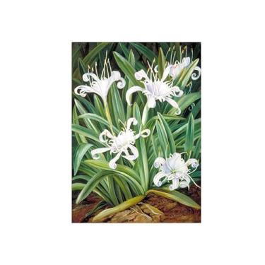 Imagem de Pôster e impressões em tela de flores vintage - reprodução de pintura de arte de parede famosa - flores brancas - imagens para sala de estar 30 x 45 cm 12 x 18 polegadas sem moldura