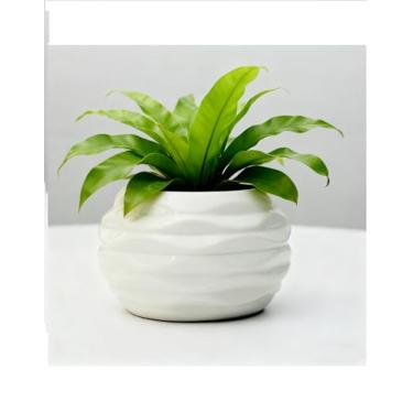 Imagem de Vaso de cerâmica médio de 9 x 6,6 cm, para suculentas, mini lindo jardim, flor, berçário, suculenta, para plantas de interior, vasos de cerâmica, ondulação, 5