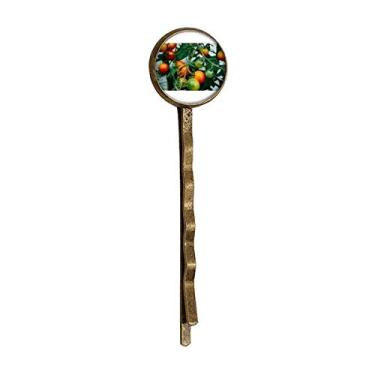 Imagem de Boné de metal retrô com imagem de árvore de frutas temperadas frescas