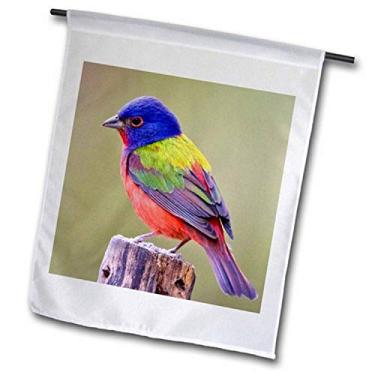 Imagem de 3dRose fl_147129_2" Bandeja de jardim masculina pássaro empoleirado Us44 Ldi1047 Larry Ditto, 48 x 27