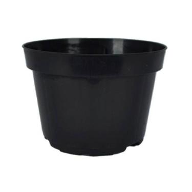 Imagem de 100 vasos pote 11 volume de 430 ml mudas  suculentas violetas - MS Pai