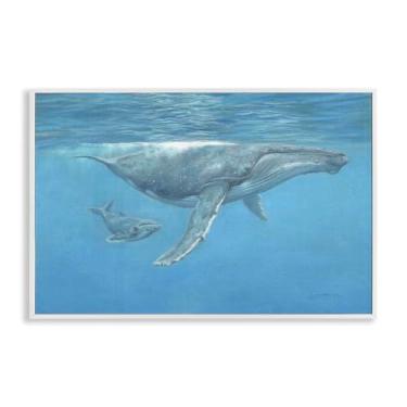 Imagem de Stupell Industries Baleia jubarte subaquática branca emoldurada giclée por David Stribbling, 40,6 x 61,8 cm