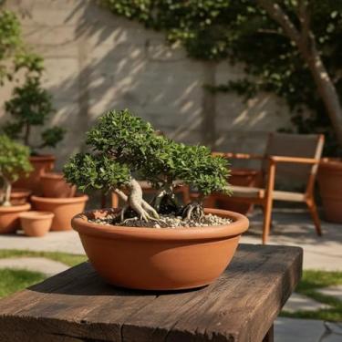 Imagem de Quintal de Casa Vaso Bacia Bonsai P Lisa, Marrom, Barro e Cerâmica, 26 cm x 18 cm x 10 cm, Com Furos de Drenagem, Design Moderno