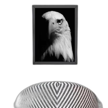 Imagem de Quadro Fotografia Águia 24X18Cm - Com Vidro - Madeira Preta - Quadros 