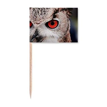 Imagem de Pcture Bandeira de palito de dente de coruja animal de organismo terrestre marcador topo decoração de festa