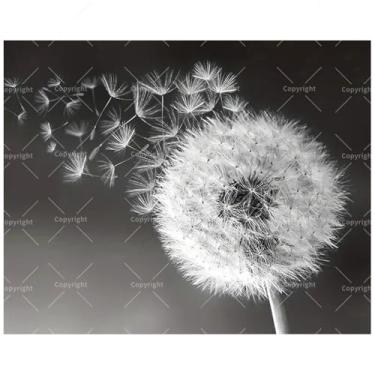 Imagem de Kit de pintura minimalista por números para adultos - Dente-de-leão DIY com sementes flutuantes em preto e branco, pintura em tela 40,6 x 50 cm, conjunto de tinta acrílica emoldurada, adequado para