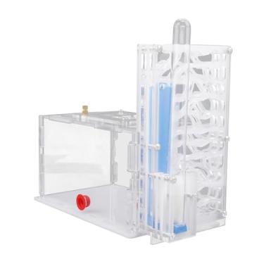 Imagem de Baoblaze Casa de formigas, de acrílico, fazenda, vila, transparente, compacto, com alimentador, aprendizado, umidade, caixa- para casa de formigas, Branco