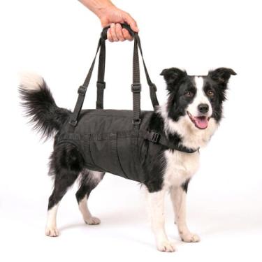 Imagem de Suporte Auxiliar Tronco Tamanho G Caminhada Cachorro Deficiente Regula