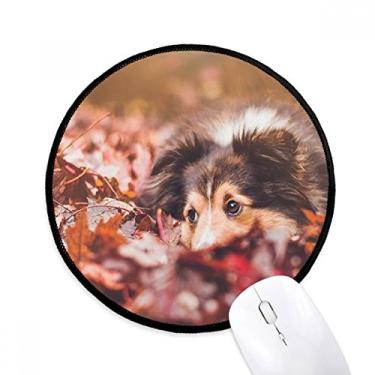 Imagem de DIYthinker Tapete de rato para foto de folha de animal de estimação de cachorro desktop tapete redondo para computador