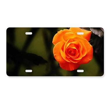 Imagem de DIYthinker Etiqueta de aço inoxidável para decoração de placa de licença com folhas verdes escuras laranja