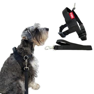 Imagem de Coleira Peitoral Anti-puxão com Guia para Cão de Pequeno Porte - Canadá K9 (preto)