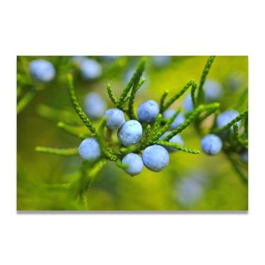 Imagem de LKXGRRSFG Impressão em tela Morning Dew Fresh Fruit & Real-Shot Scenery – Arte de parede vibrante para decoração de cozinha e sala de estar 80 x 120 cm sem moldura