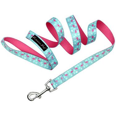 Imagem de Coleira para cães de nylon ajustável para animais de estimação parisiense | Coleiras coloridas básicas e correia combinando para cachorros/filhotes | Lindos desenhos de primavera e xadrez – Ótimo presente para animais de estimaçãoParisian Pet Leash NC-016D
