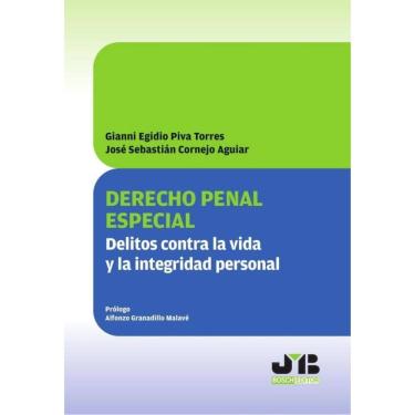 Imagem de Derecho penal especial - Espanhol
