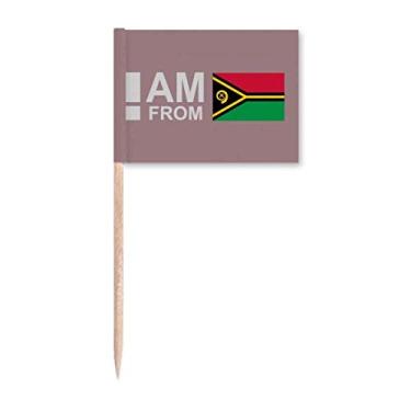 Imagem de Decoração de festa I Am From Vanuatu Art Deco Presente Fashion Palito de Dente