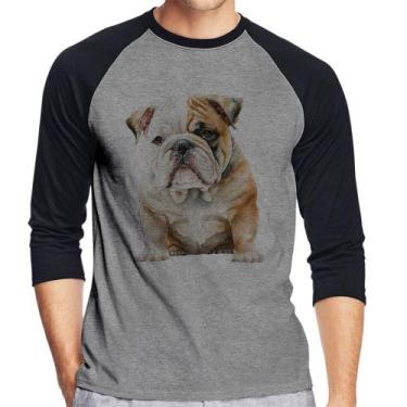 Imagem de Camiseta Raglan Bulldog-Inglês Manga 3/4 - Foca na Moda, Cinza, Preto,