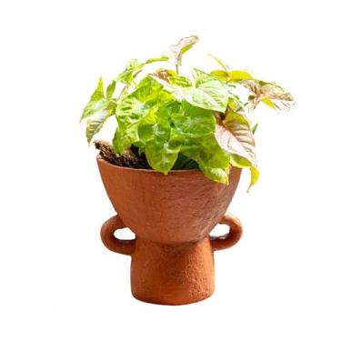 Imagem de LANDENGWANG Vasos de plantas vintage de cimento para plantas de interior, ideal para orquídeas e plantas, vasos decorativos duráveis, com suporte para plantas internas, decoração de jardim