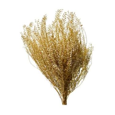 Imagem de Capim Sementinha - Sempre vivas - Natural e Desidratado - VIVA FLOR