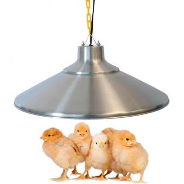 Imagem de Campânula elétrica para aquecimento de pintinhos 130W - CHOCMASTER, 22