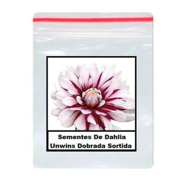 Imagem de 50 Sementes De Dahlia Unwins Dobrada Sortida - ISLA