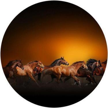 Imagem de Capa De Estepe Cavalos Correndo