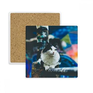 Imagem de Animal Lazy Cat Fotografia Quadrada, Porta-copos Porta-copos Caneca Suporte de Subplaca Pedra de Isolamento