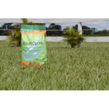 Imagem de Sementes de Grama Batatais 3 kg - Sementes para gramado - Realpecuaria