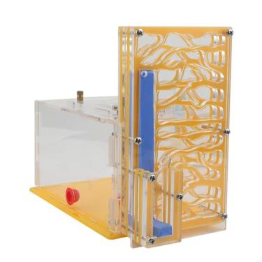 Imagem de Generic Caixa de para formigas, caixa de para formigas com cesto de ração, faça você mesmo, para mesa, sala de estar, cozinha doméstica, Amarelo