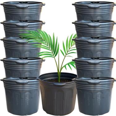 Imagem de Kit 10 Vaso Embalagem 25 Litros Flexível com Alça para Árvores Frutíferas, Ornamentais, Mudas e Outras | Leve e Resistente, Plástico Reciclável e Ecológico - Nutriplan