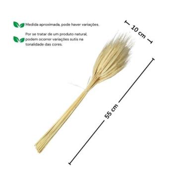Imagem de 600 Unid. Trigo Seco Convites Arranjos e Lembrancinhas - Pense Flores