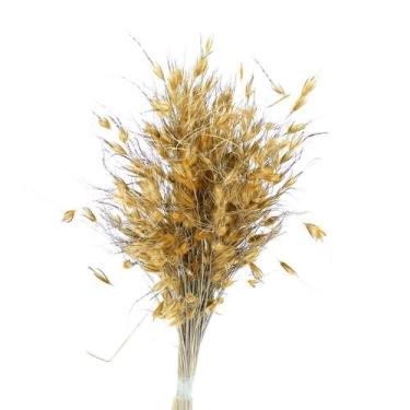 Imagem de Capim Dourado Natural Desidratado - Tem Flores