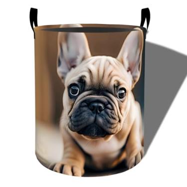 Imagem de amepay Cesta de roupa suja realista para buldogue fofo, pano Oxford dobrável, cesto de roupas sujas à prova d'água com alças, organizador de brinquedos para banheiro, quarto, dormitório, 50 x 39,9 cm