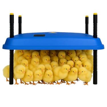 Imagem de Chocadeira ajustável de 40 x 40 cm para pintinhos, proporcionando aquecimento constante e eficiente. Seguro, economiza energia, fácil de montar e limpar. Perfeito para chocar frango (azul)