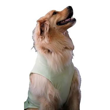 Imagem de Camiseta Polar para pet Pitanga VERDE (P)