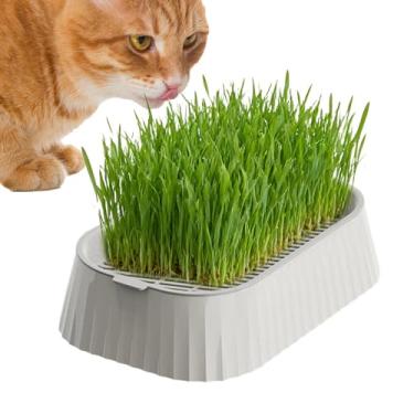 Imagem de Vaso de Relva para Gatos sem Terra,Bandeja Inferior Compacta e Antiderrapante,Copo De Grama Para Gatos - Para Interior Exterior Parapeito de Janela Casa Família Amigos Gatinhos