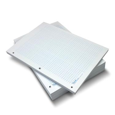 Imagem de Geyer Instructional Products - Papel quadriculado clássico, grade de página inteira com quadrados de 0,63 cm, forro azul, dupla face, resma de 500 folhas, três furos perfurados