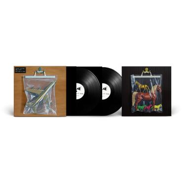 Imagem de Ants From Up There [Disco de Vinil]