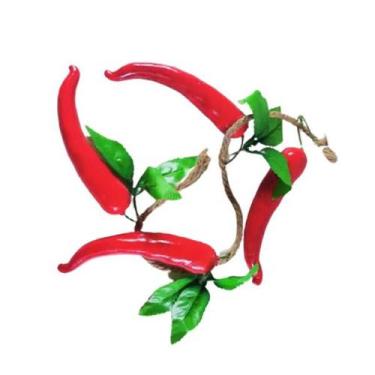 Imagem de Pimenta na Corda Grande - Festas e Fantasias