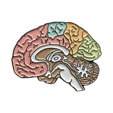 Imagem de Broche Esmaltado de Anatomia Renal - Joia Médica para Médicos e Enferm