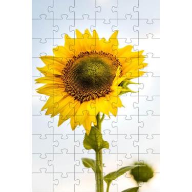 Imagem de 4 Quebra-Cabeças de Flores Coloridas do Mundo de 40 peças - Coleção TE