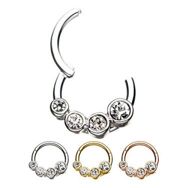 Imagem de Anéis de segmento articulados WildKlass de 16 g 5/16 com conjunto de garras redondas 4 CZ transparente, Liga de aço