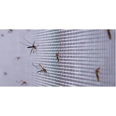 Imagem de Tela Mosquiteiro Ultra Forte Para Janela E Porta | Altura Até 1,50m, ProteçãO ReforçAda Contra Insetos | Material DuráVel(CINZA,5,00X1,20)