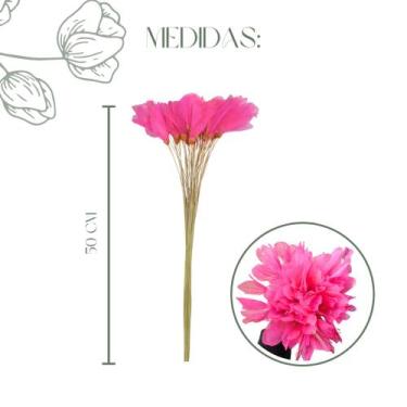 Imagem de Buquê Folha De Magnólia Libélula Esqueletizada Cores - FLORA FULL, Ros
