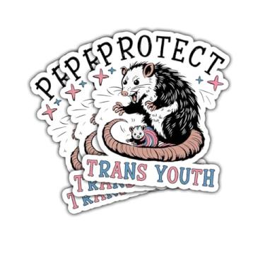 Imagem de Adesivo de 3 peças para jovens trans gambá engraçado protegendo os direitos do bebê LGBTQ LGBT presente do mês do orgulho gambá proteger adesivos juvenis trans decalque de carro para laptop garrafa de
