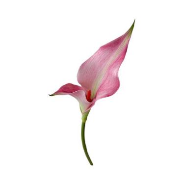 Imagem de Arranjo De Flores Artificiais De Hortelã Em Forma De Ferradura De Alta
