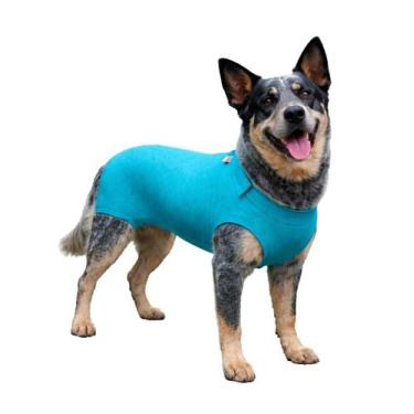 Imagem de Roupa Protetora Pós Cirúrgica Pet Específica Para Castração de Cão Mac