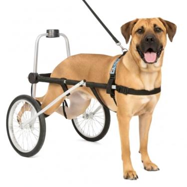 Imagem de Cadeira de 2 Rodas Para Cachorro Tam XXG Regulável Pata Traseira Paraplegia Reabilitação Paralisia Idoso Pet Best Soluções