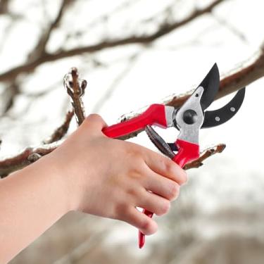 Imagem de Tesoura de poda profissional de 20 cm – Cortador afiado de jardim para aparar árvores, bonsai e plantas