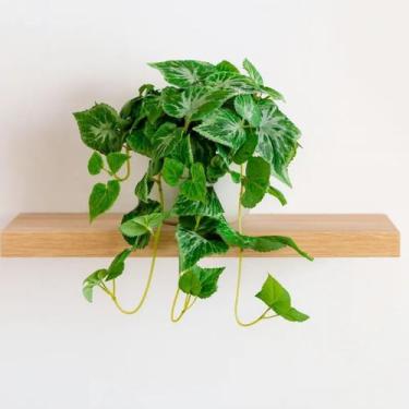 Imagem de Arranjo vaso branco ceramica planta Videiras verde nevada - La Caza St