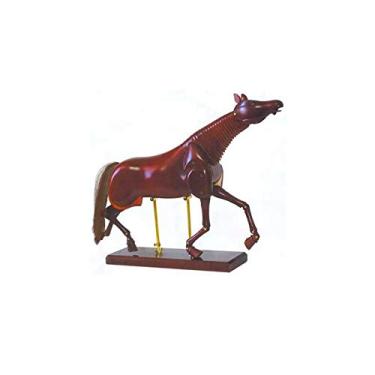 Imagem de Manequim Articulado Cavalo 20POL 50CM